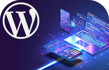 WordPress development process